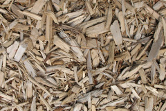biomass boilers Ewen